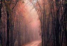 旺财28：[NBA]与快船主场悼念受难者.