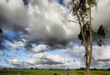 旺财28：[球之夜]20241228 坚守 超越.