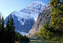 旺财28：游泳春锦赛综述：张雨霏0奖牌，张展硕4金+余依婷柳雅欣各7奖牌.