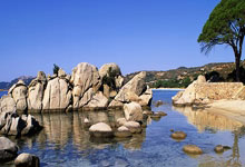 旺财28：足球——U20亚洲杯：澳大利亚队晋级决赛.